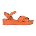 Nectarine Leather